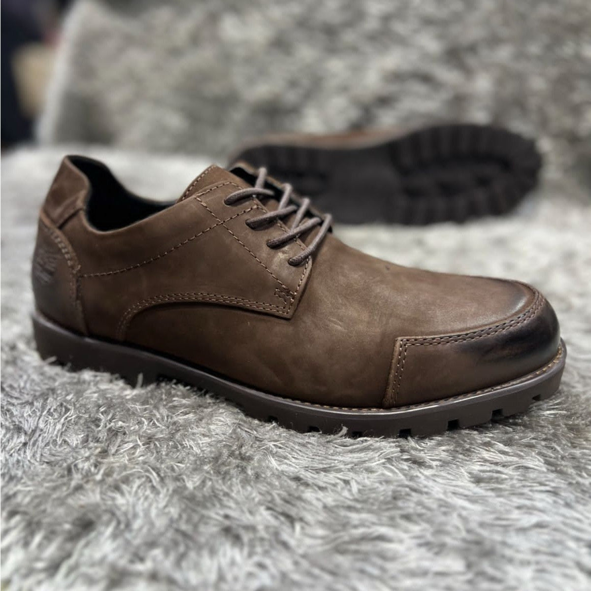 Timberland Casual Shoes-Coffee Brown
