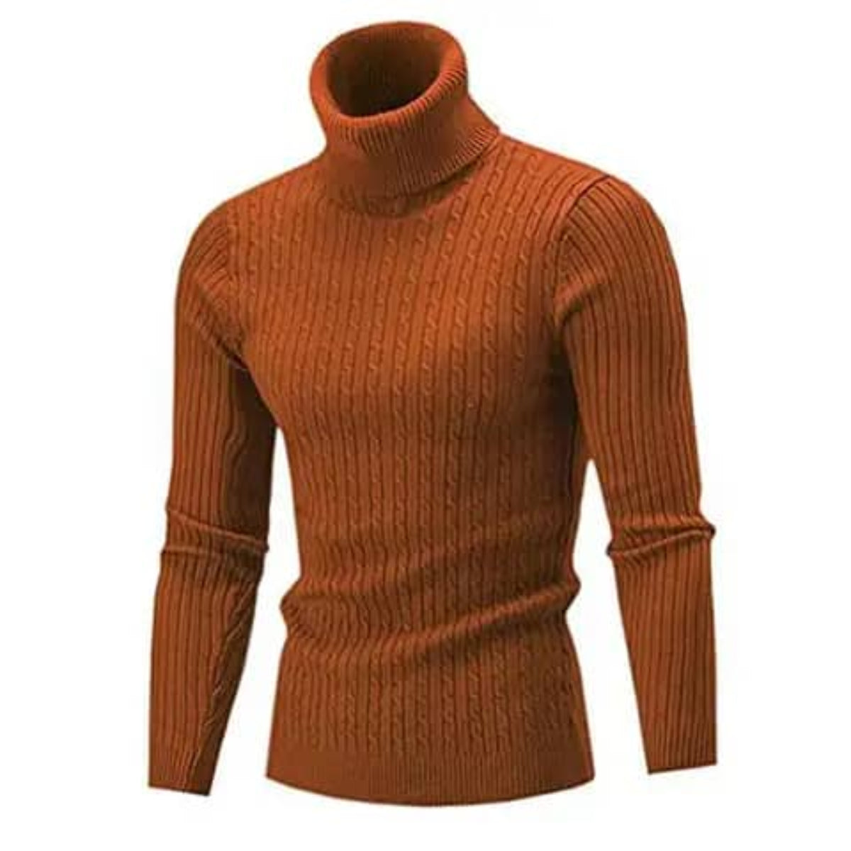 Warm and Stretchable Turtleneck Sweater-Brown.