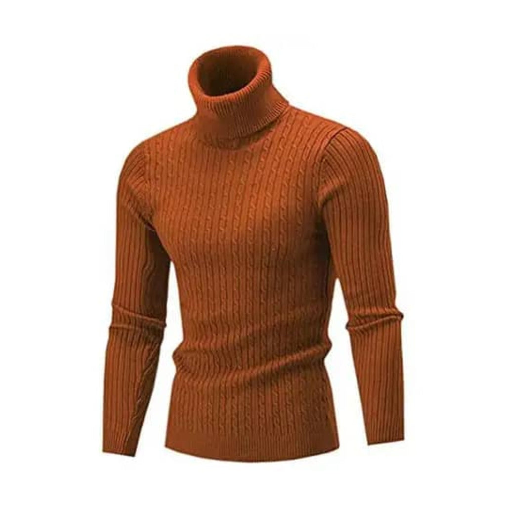 Warm and Stretchable Turtleneck Sweater-Brown.